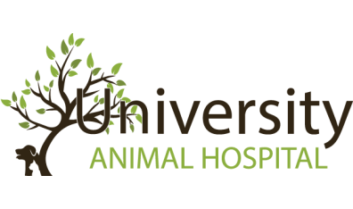 University Animal Hospital Orlando-HeaderLogo